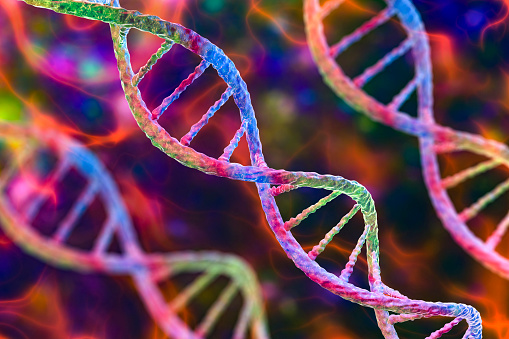 What is DNA