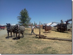 sept 2011 canning, threshing 018