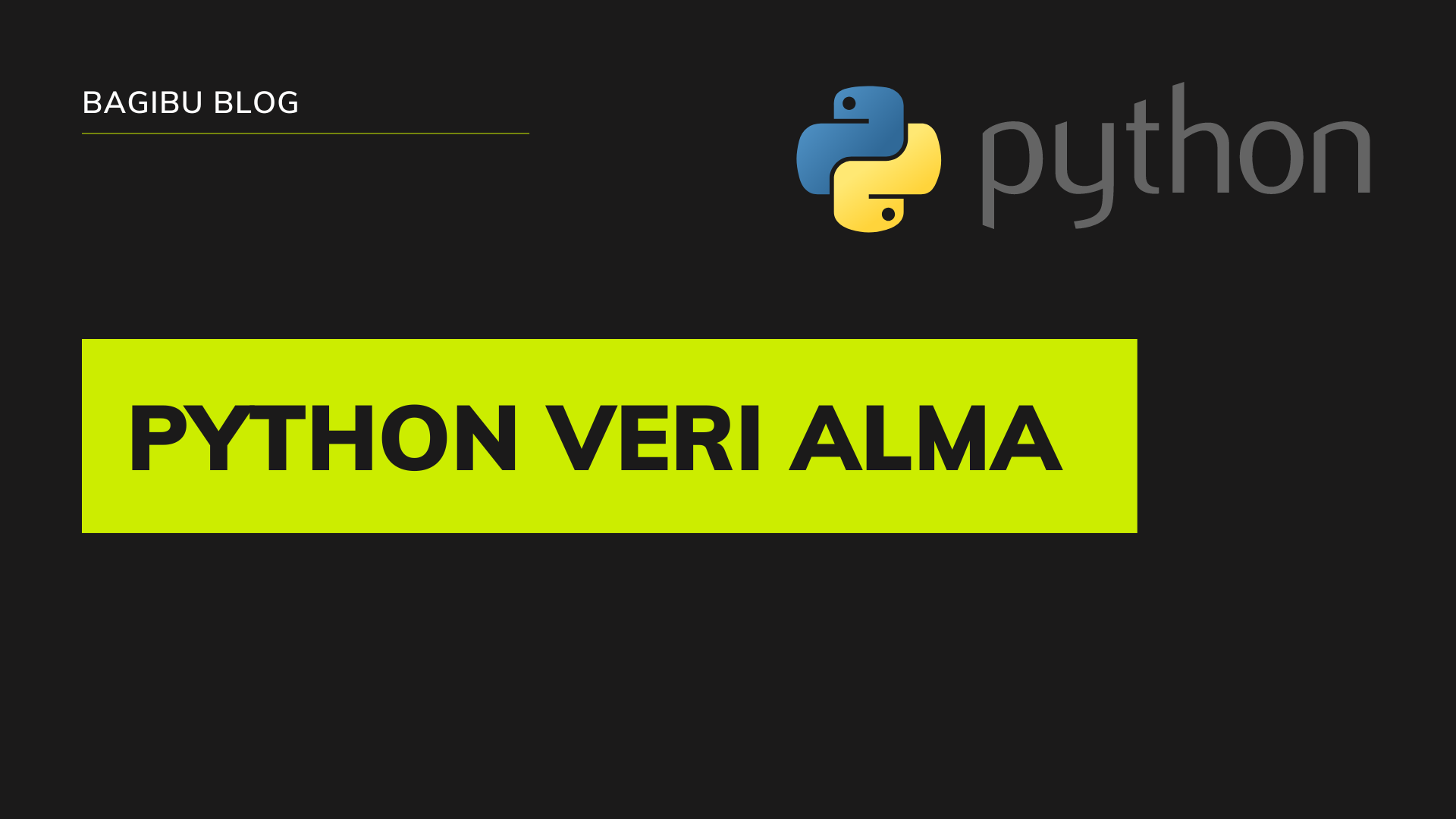 python kullanıcıdan veri alma
