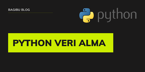 Python Kullanıcıdan Veri Alma