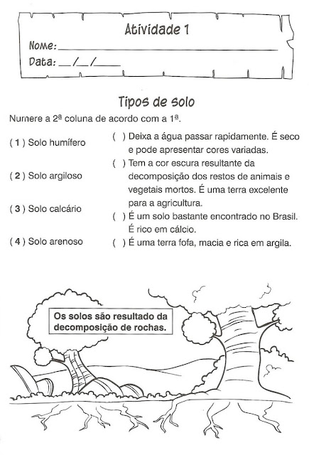 Atividades de ciências 3 ano ensino fundamental para imprimir