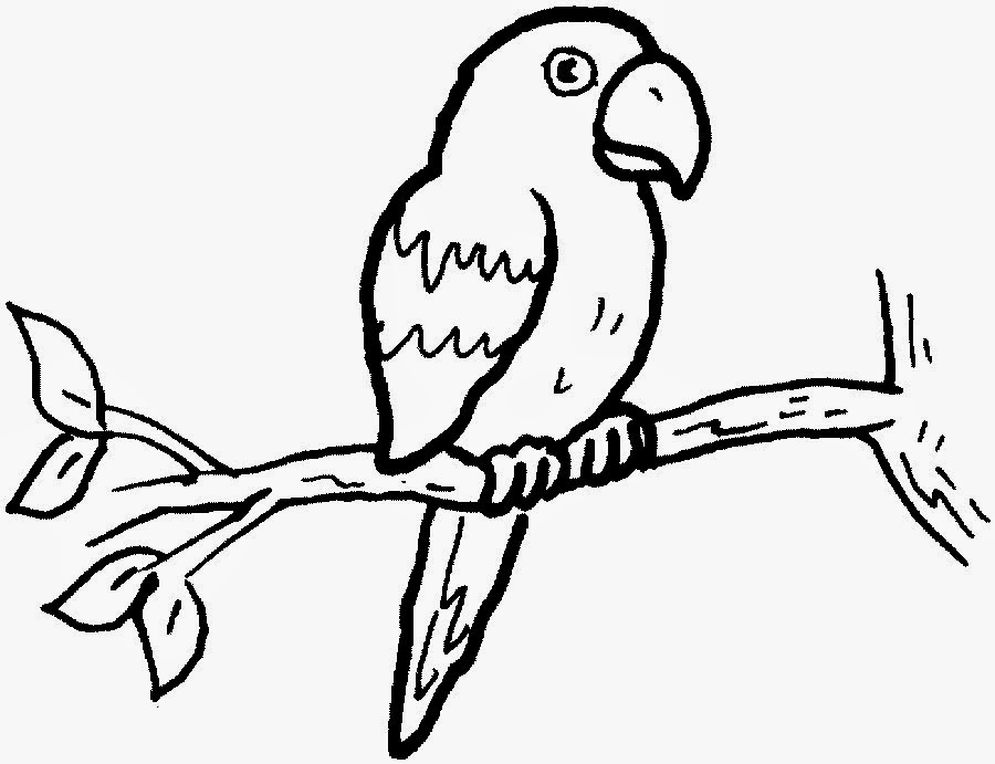 Parrot Coloring Drawing Free wallpaper