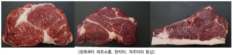 난지축산연구소, 고기용 말 품종 육질 등 평가