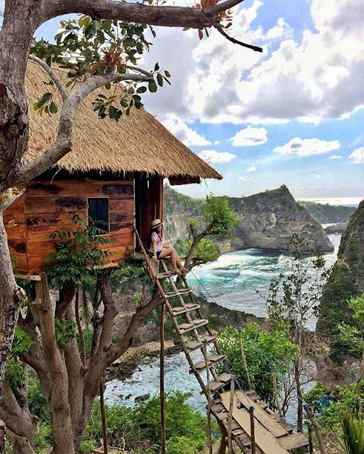 Tempat Wisata Hits di Bali yaitu Rumah Pohon Molenteng