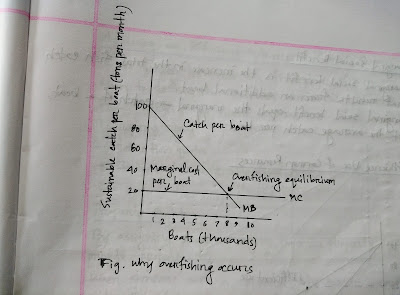 Figure-12: Environmental Economics-Part A-Lecture 2-Sub Lecture 2B-Why overfishing occurs-ageconbd.blogspot.com