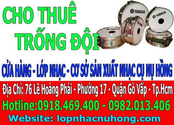 cho thue trong doi gia re 