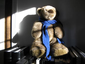 chiaroscuro bear