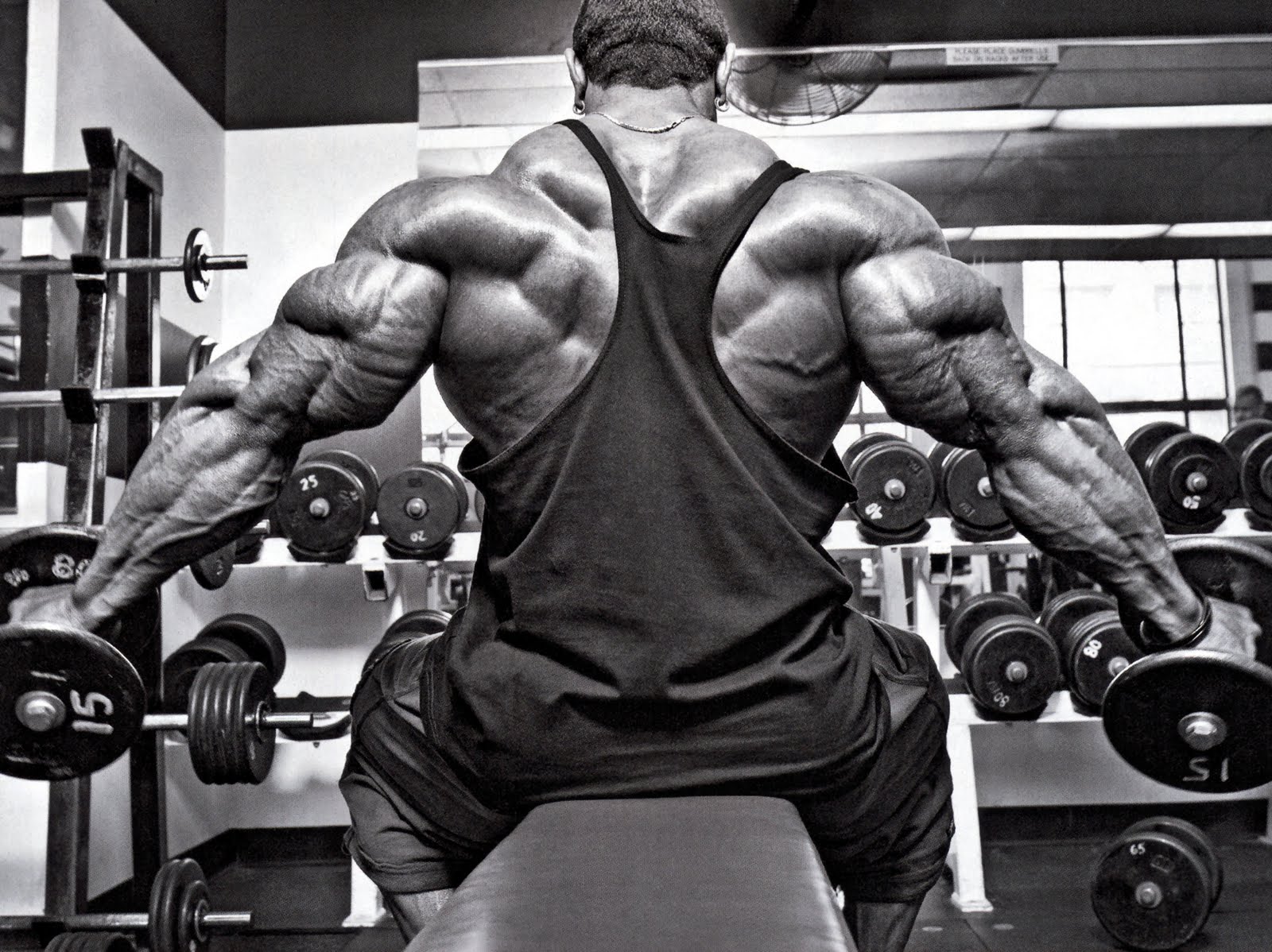 Knights of Bodybuilding: ROELLY WINKLAAR 2