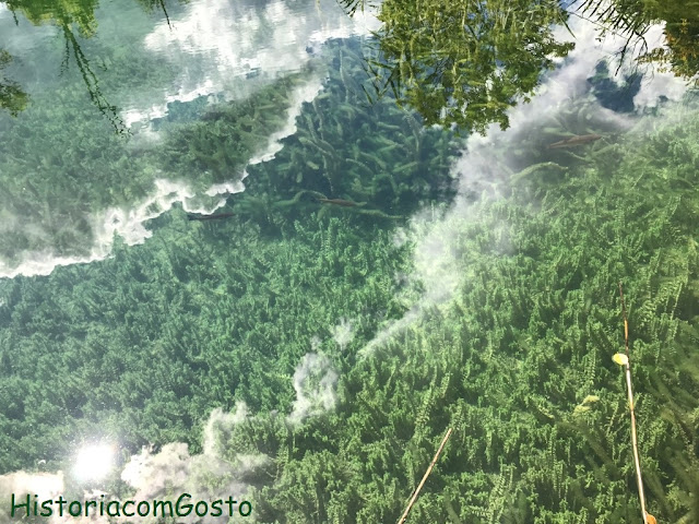  foto das águas rasas e transarentes podeno-se ver as algas no fundo 