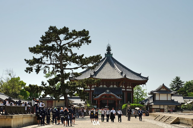 Kofukui-ji Temple Nara Japan Curitan Aqalili