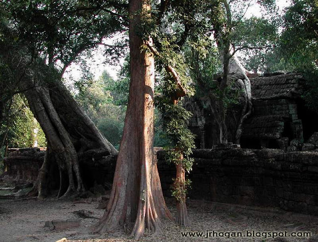 Picture of Ta Prohm Temple