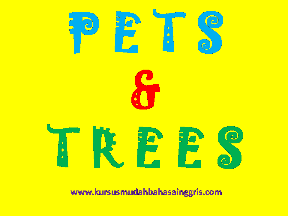Pets And Trees Binatang  Peliharaan  Dan Pohon Materi 