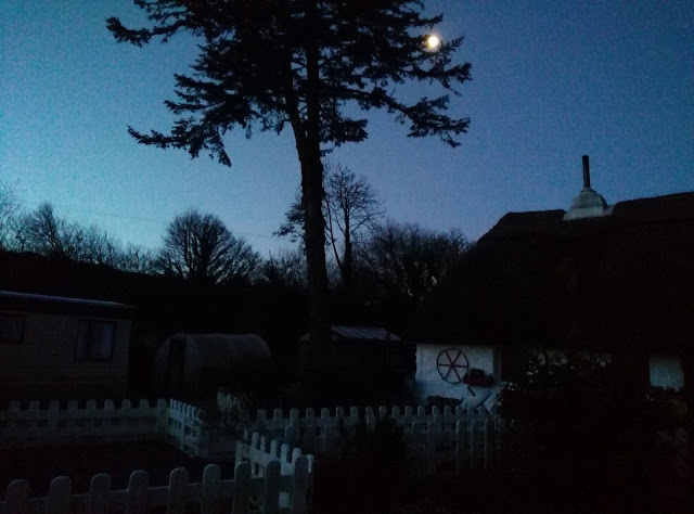 tree, thatched cottage, blue sky, darkness