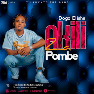 AUDIO | Dogo Elisha - Akili za Pombe | Download now