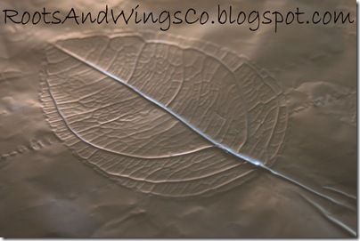 leaf skeleton a5