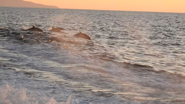 Santa Cruz Island