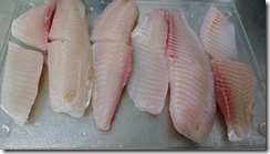 IMG_20160803_162628960