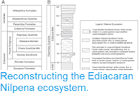 http://sciencythoughts.blogspot.com/2019/01/reconstructing-ediacaran-nilpena.html