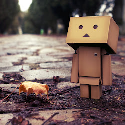 Gambar Danbo @ digaleri.com