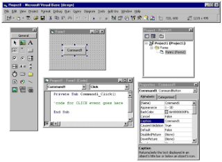 Visual Basic