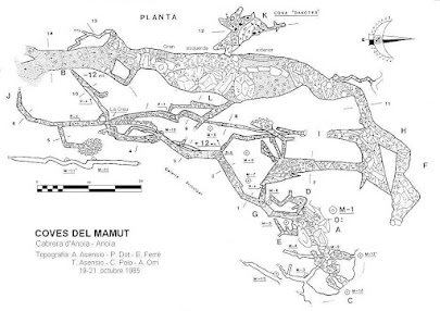 Coves del Mamut