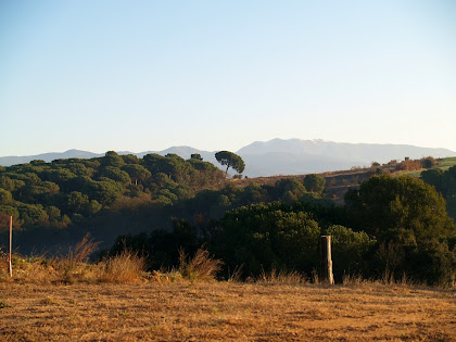 El Montseny des de la zona de Can Bosc