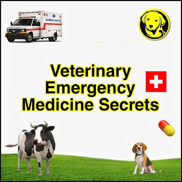 Free Download Veterinary Emergency Medicine Secrets Full Pdf