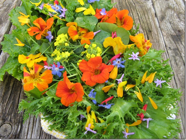 Salad for Buddha House-1