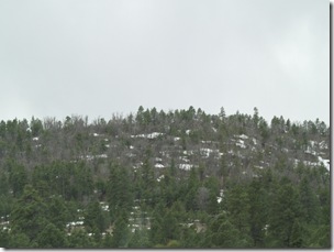 Snow was everywhere from the night before