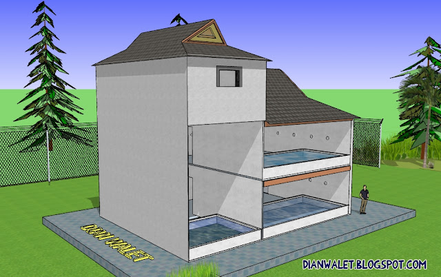Desain Gedung Walet (RBW) 6x8, 2 Tingkat Full Video  DIAN 
