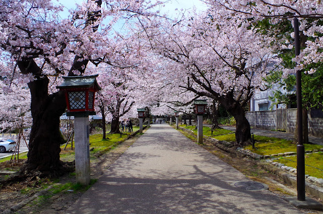 「湯神社（Yujinja）」參道入口：四月