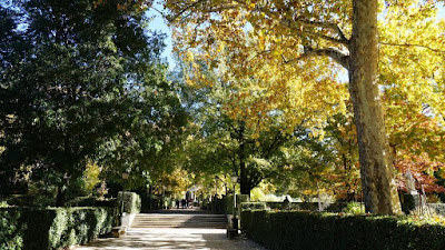 Jardín Botánico de Madrid