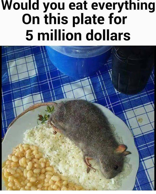 plate of rice beans rat