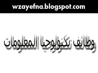 وظائف تكنولوجيا المعلومات 