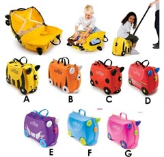 luggage