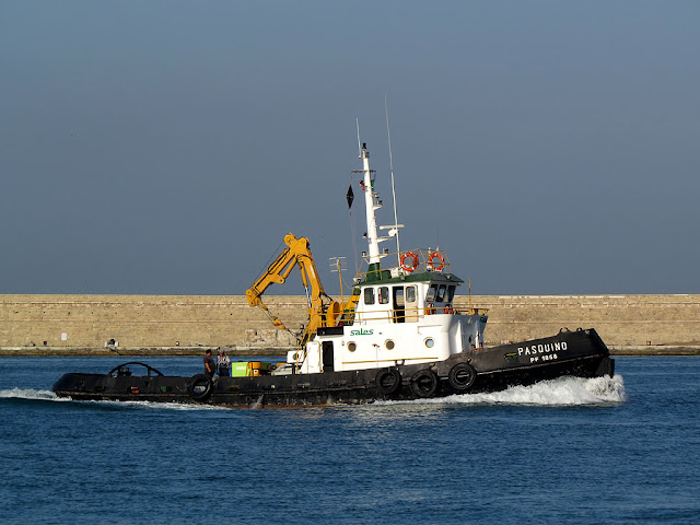 Tug Pasquino, PF 18578, port of Livorno