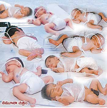 Pictures Of Babies. to eight abies in a span