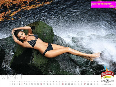 Kingfisher Calendar March 2011