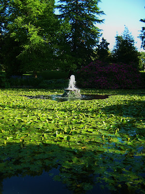 Water Fountain Picture- Beacon Hill Park, Victoria BC