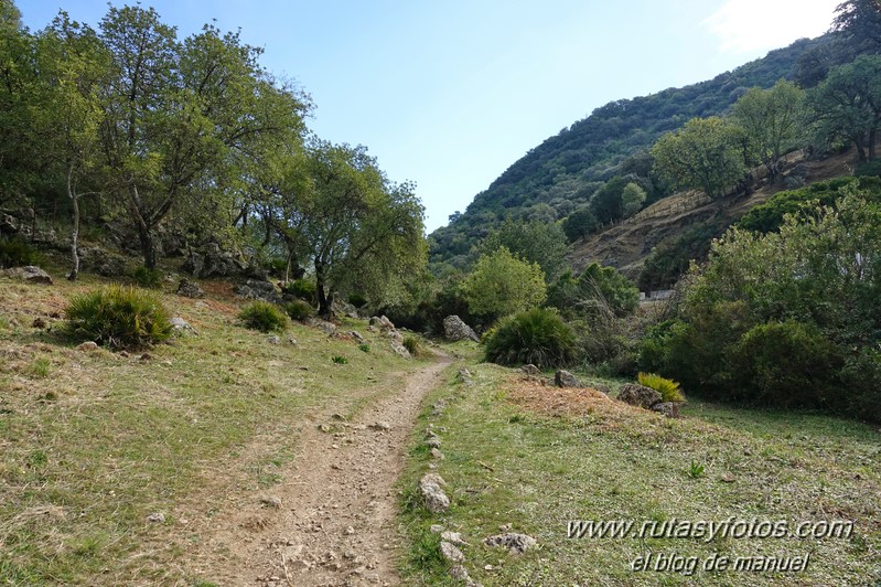 Sendero El Bosque - Benamahoma - Grazalema