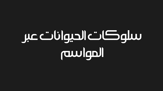 سلوكات الحيوانات عبر المواسم الثانية متوسط