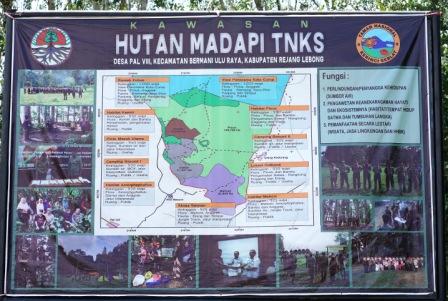 hutan madapi