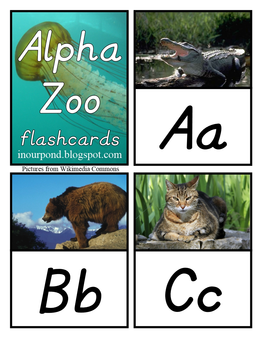 alpha zoo phonics chart