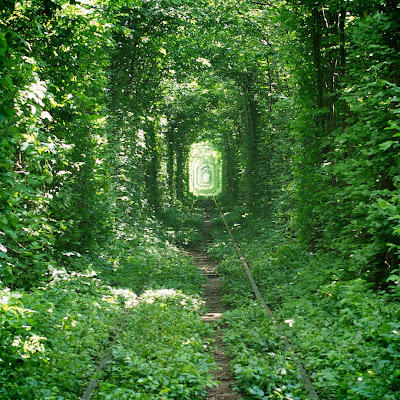 El tunel de la felicidad