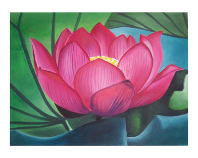 Gods Favorite Flower the Lotus Flowers