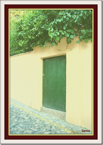 puerta verde