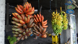 Различного цвета бананы в Эквадоре 