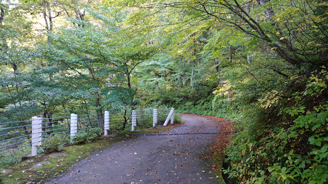 鳥取県西伯郡大山町大山 管理用道路