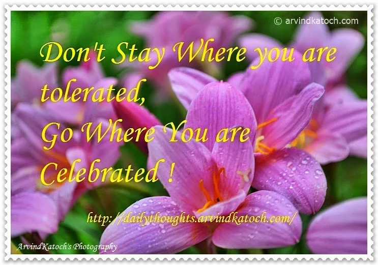 Celebrated, Tolerated, Daily Thought, Quote, 