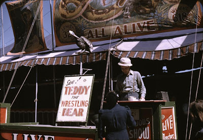 Wrestling Bear Tent